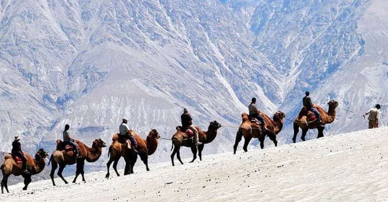  Camel Safari Nubra Valley  