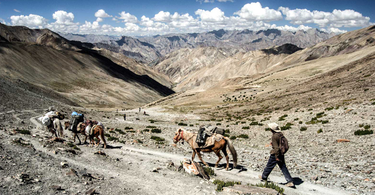  Markha Valley Trek  